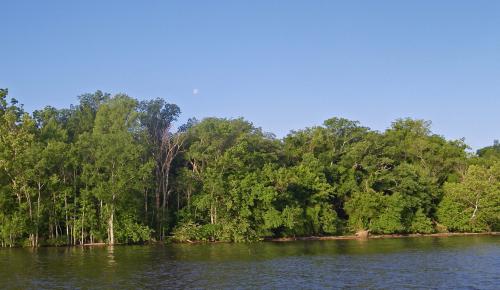 James River National Wildlife Refuge, VA. Credit: USFWS