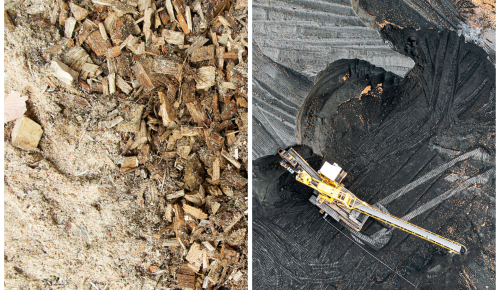 Coal and biomass