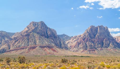 Nevada desert