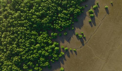 carbon sequestration