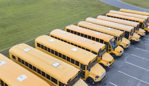 School buses in a line