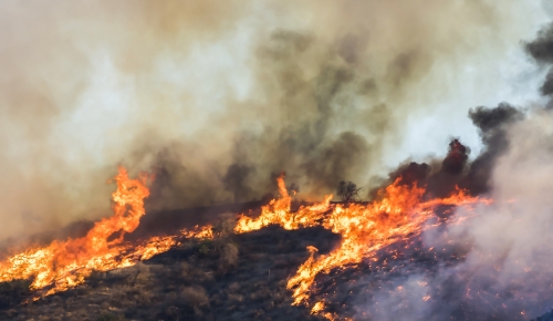 California fires