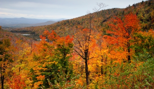 Fall in the northeast kingdom
