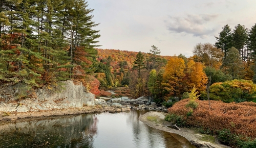Vermont swimming