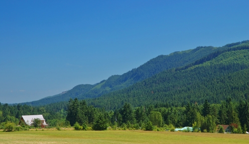 Farm in Washington State