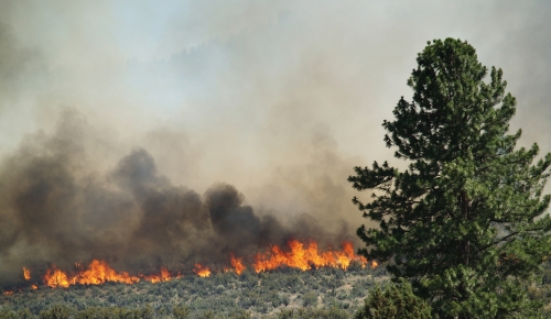 California wildfires