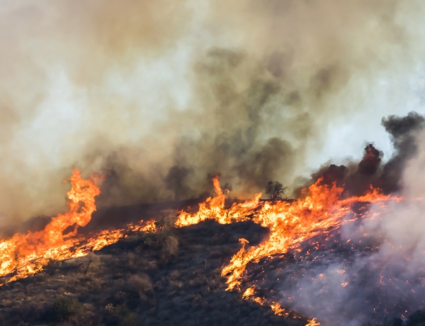 California fires